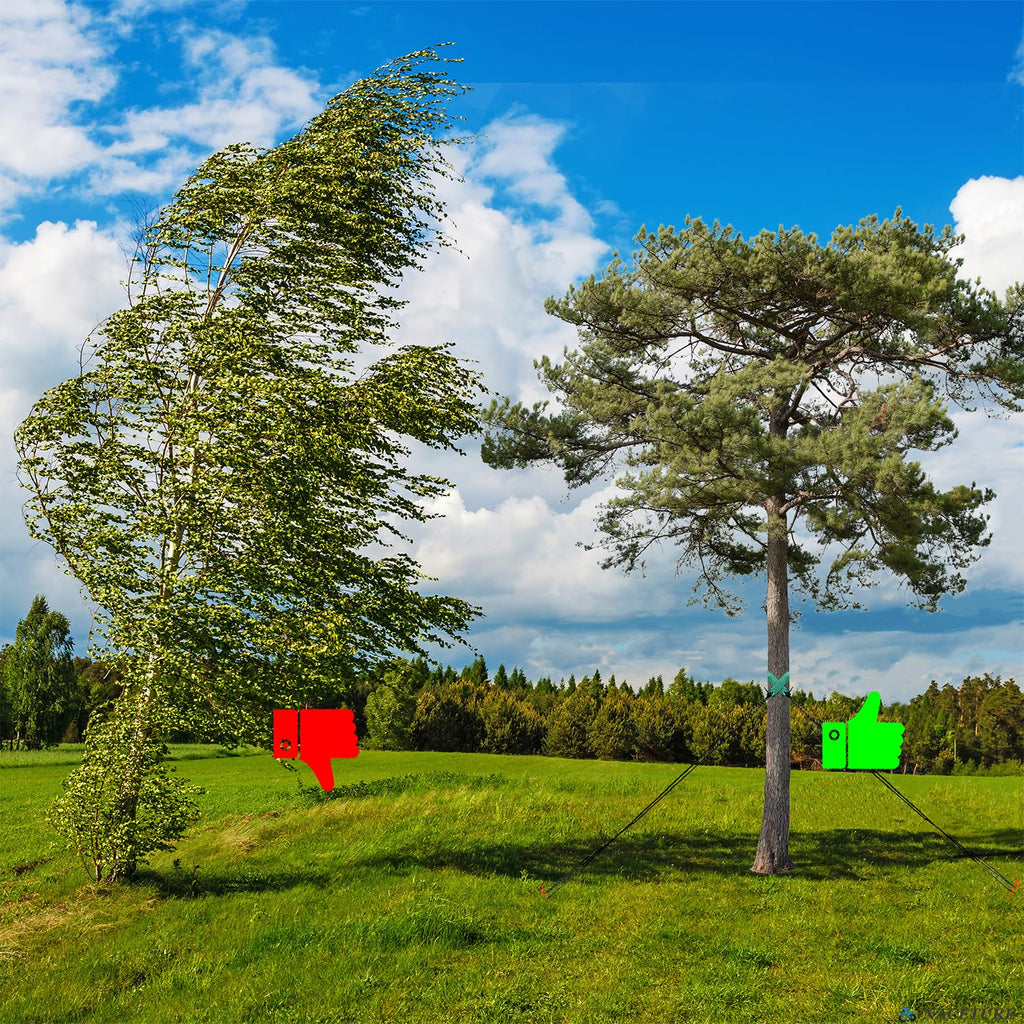 Heavy-Duty Tree Stake Kit – Metal Support Stakes for Tree Straightening & Stabilization
